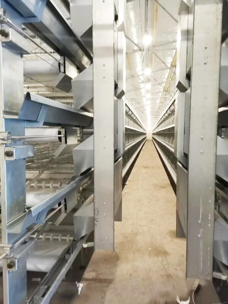 pullet chicken cage for poultry farm from Demeter Machinery