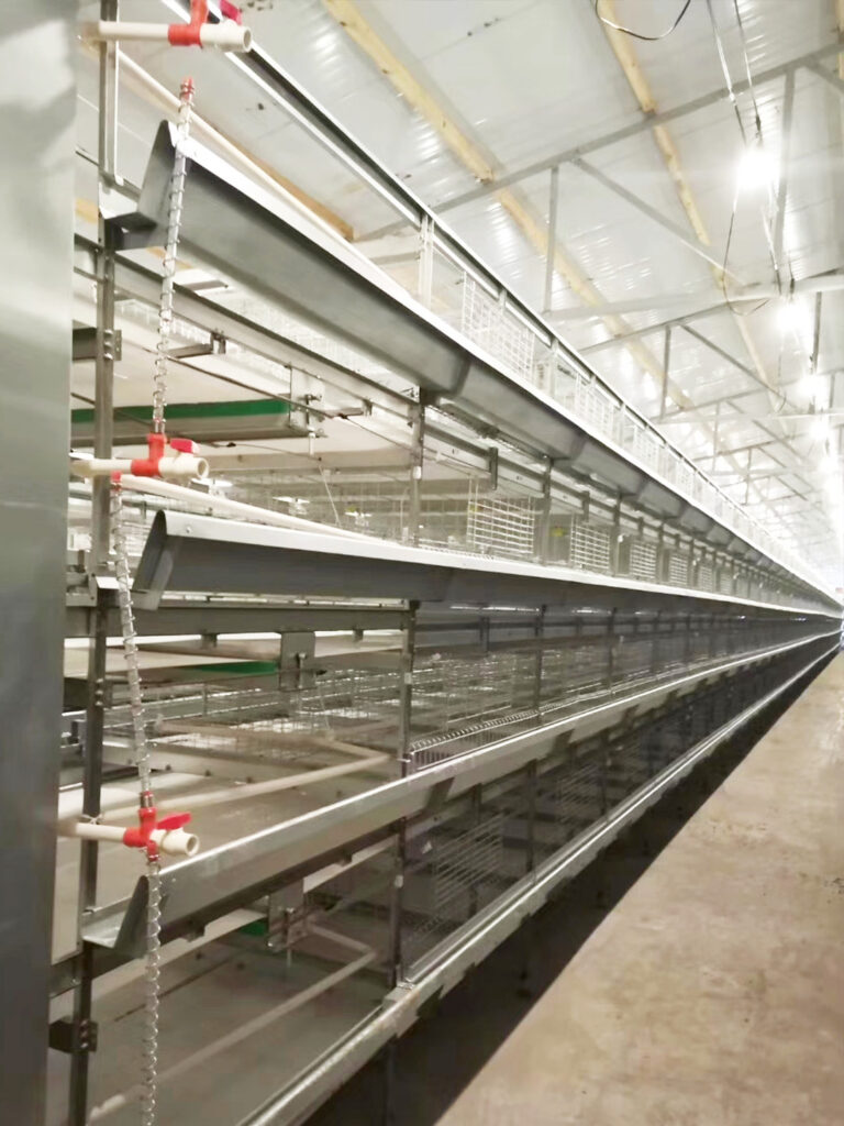 broiler chicken cage manual