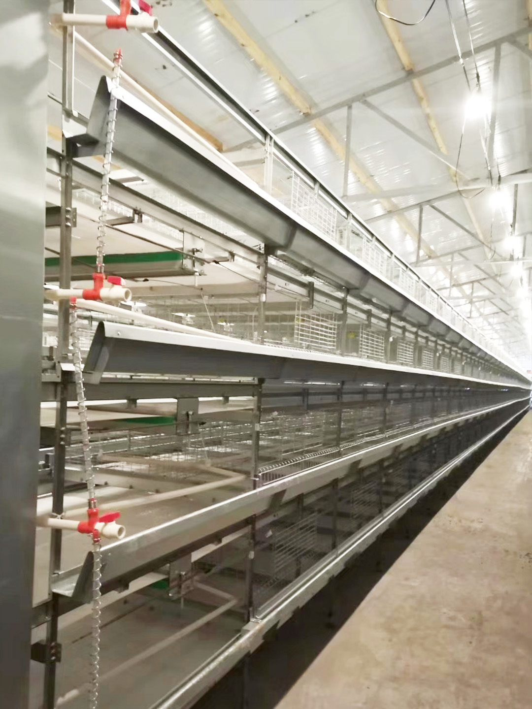 broiler chicken cage manual