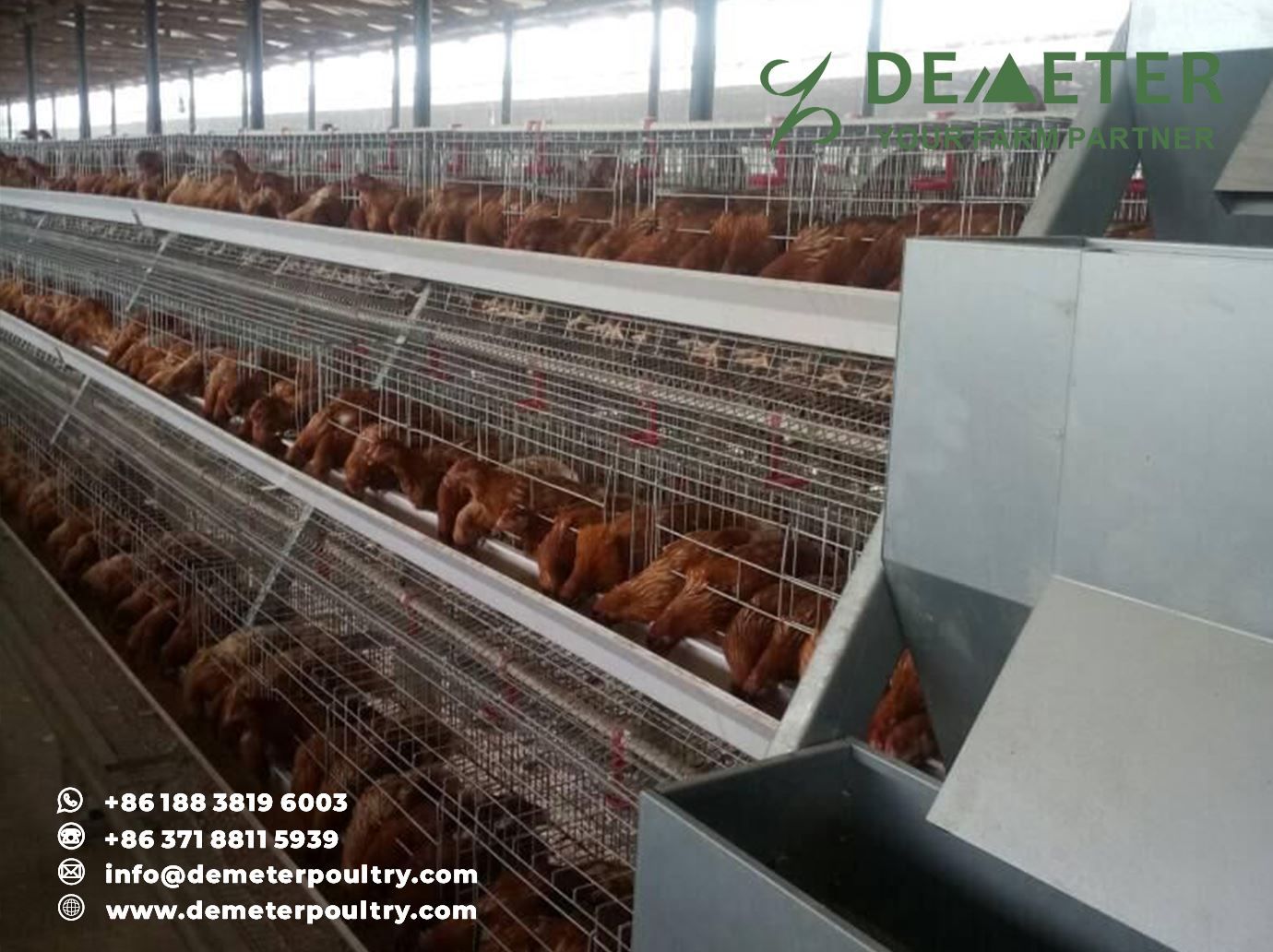20,000PCS Layer Chicken Cage Project In Ogun Nigeria 2