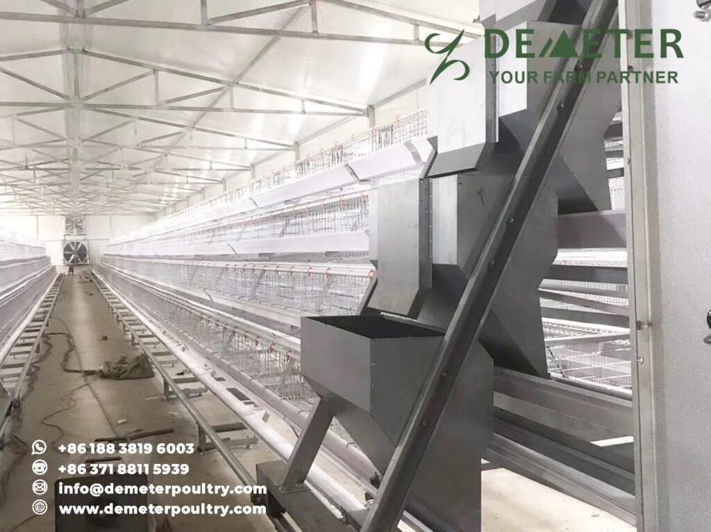 20,000pcs Layer Chicken Cage Project In Nairobi Kenya​