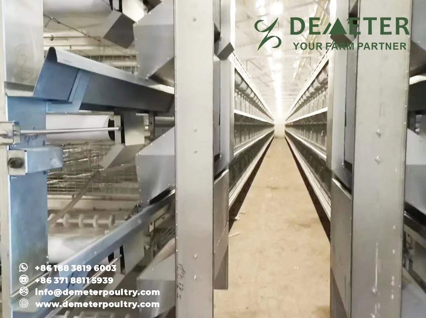 40,000PCS Broiler Chicken Cage Project In Warsaw Poland 3