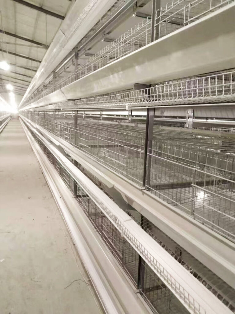 layer chicken cage, automatic chicken cage