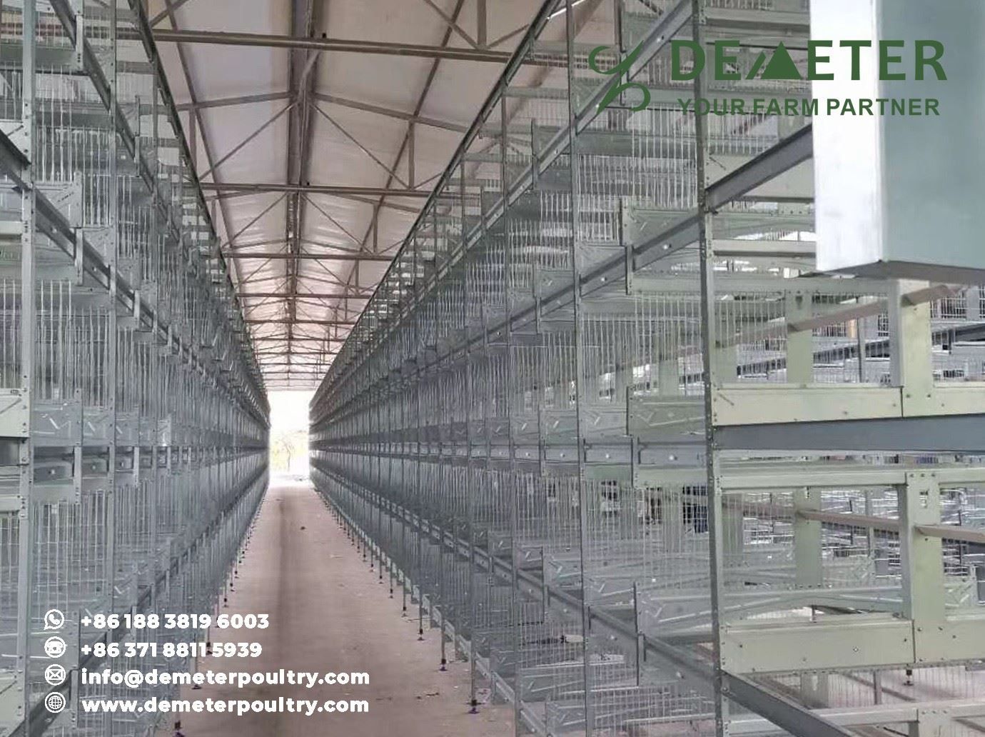 60,000pcs layer chicken cage project in Henan China 1