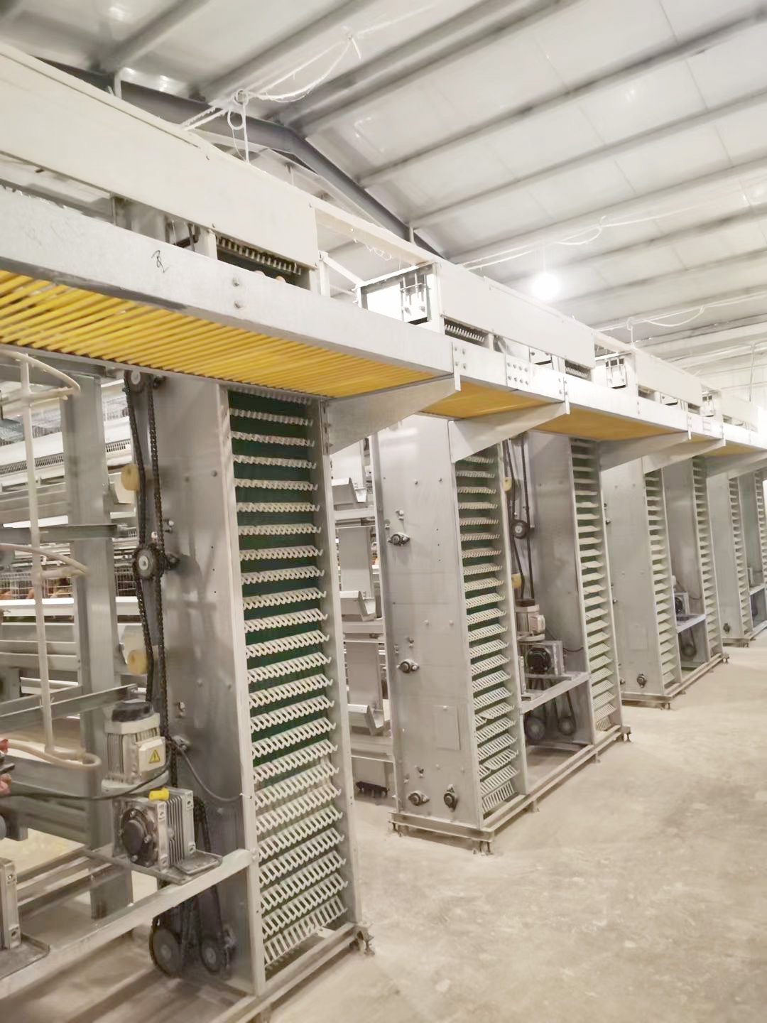 IMG_8321(20201204-155725)