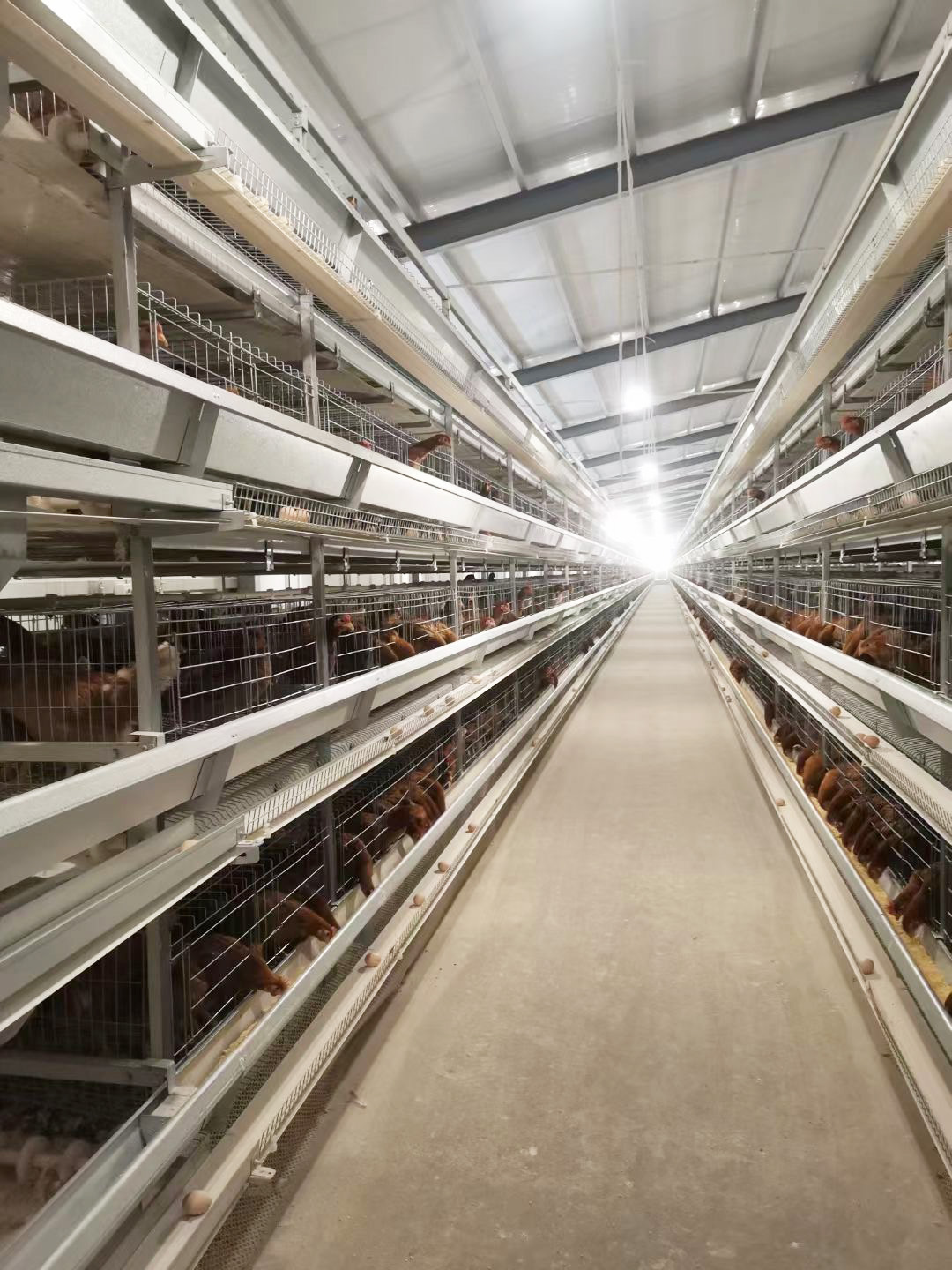 IMG_8323(20201204-155733)