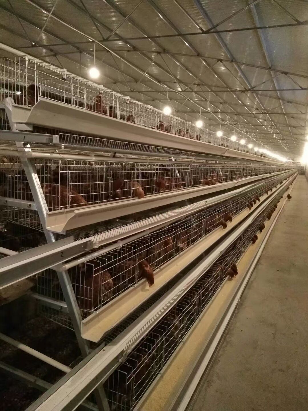 QQ图片20201124161157