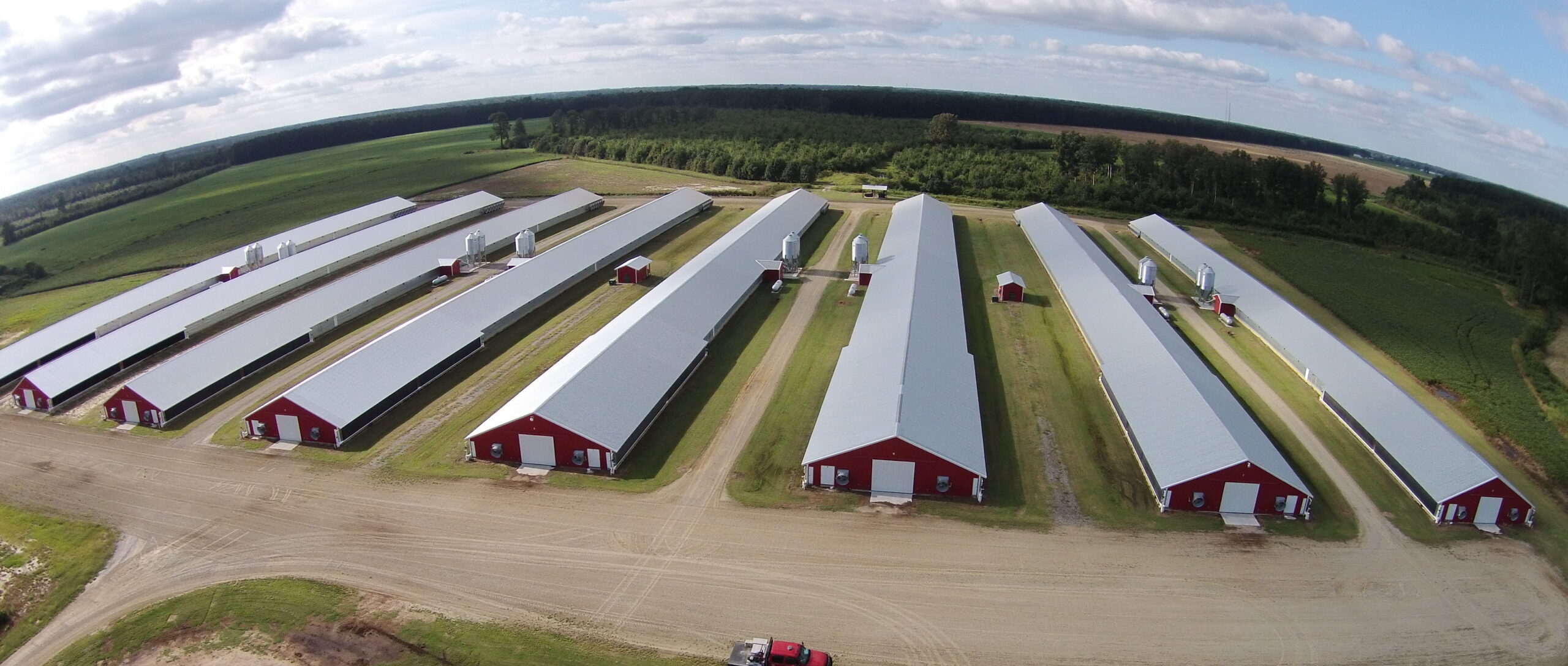 Poultry Farm chicken cageTurnkey Solution Henan Demeter Machinery Co., Ltd chicken cage poultry farming turnkey solution