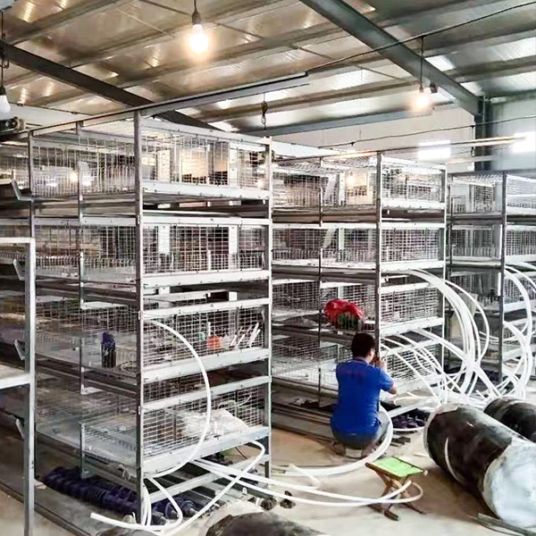 broiler chicken cage manual