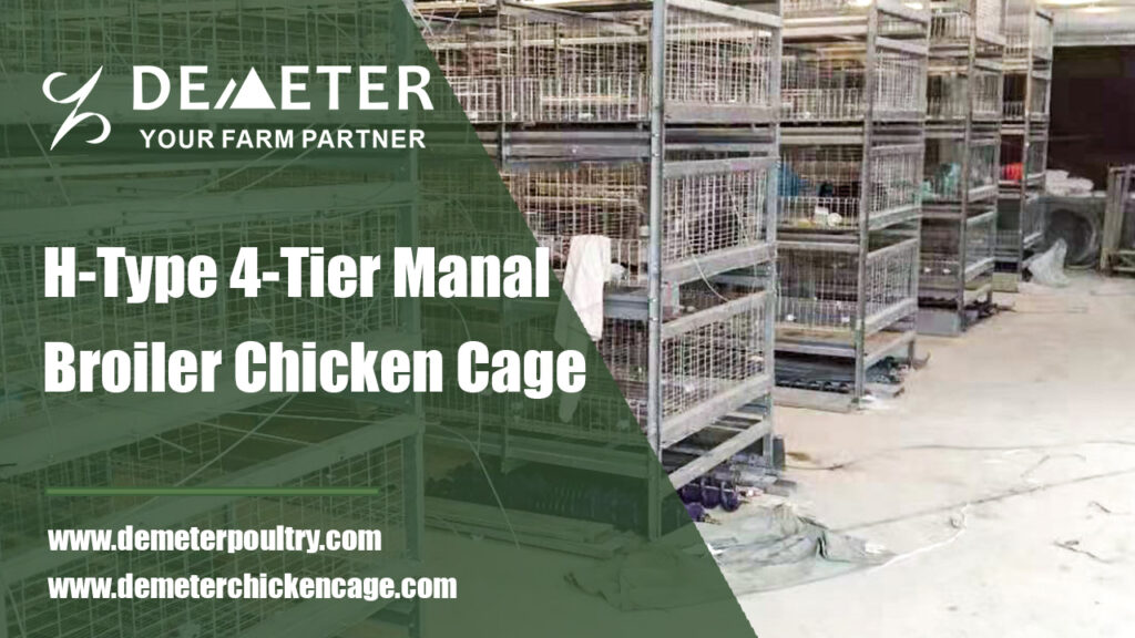 broiler chicken cage manual system