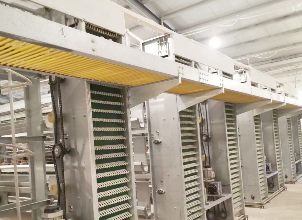 layer chicken cage 3 (2)