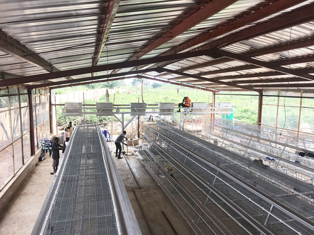 layer chicken cage for poultry farm in Nigeria