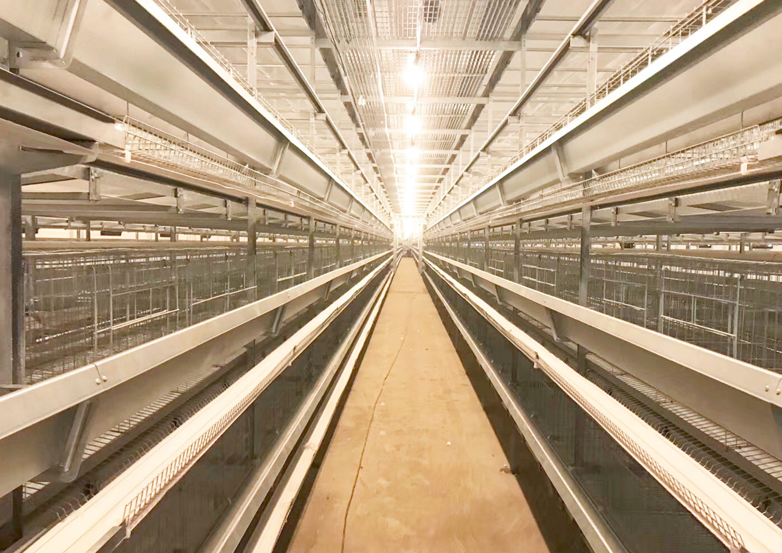 what is chicken cage?