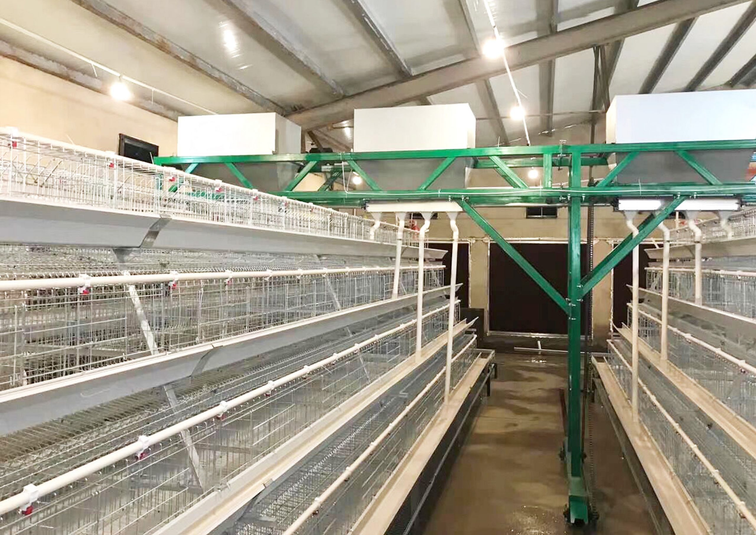 breeder chicken cage 8