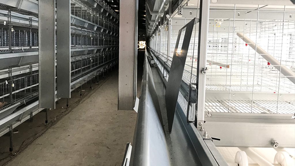 broiler chicken cage auto 3