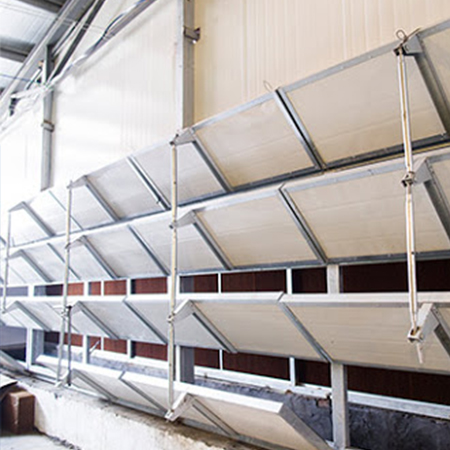 h type layer chicken cage , auto broiler chicken cage from demeter machinery 1