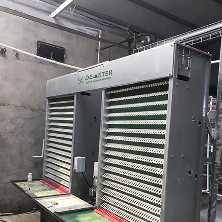 layer chicken cage, a type chicken cage, battery cage 6