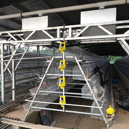 layer chicken cage, a type chicken cage, battery cage 1