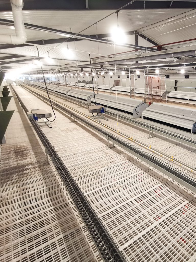 pan feeding breeder system, henan demeter machinery co., ltd chicken cage 2