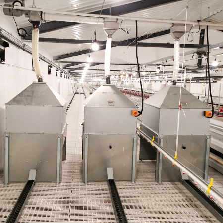 pan feeding system for breeder chicken cage solution, demeter machinery 1