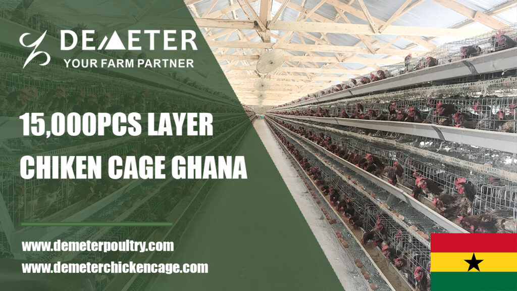 Layer chicken cage Accra 15,000pcs