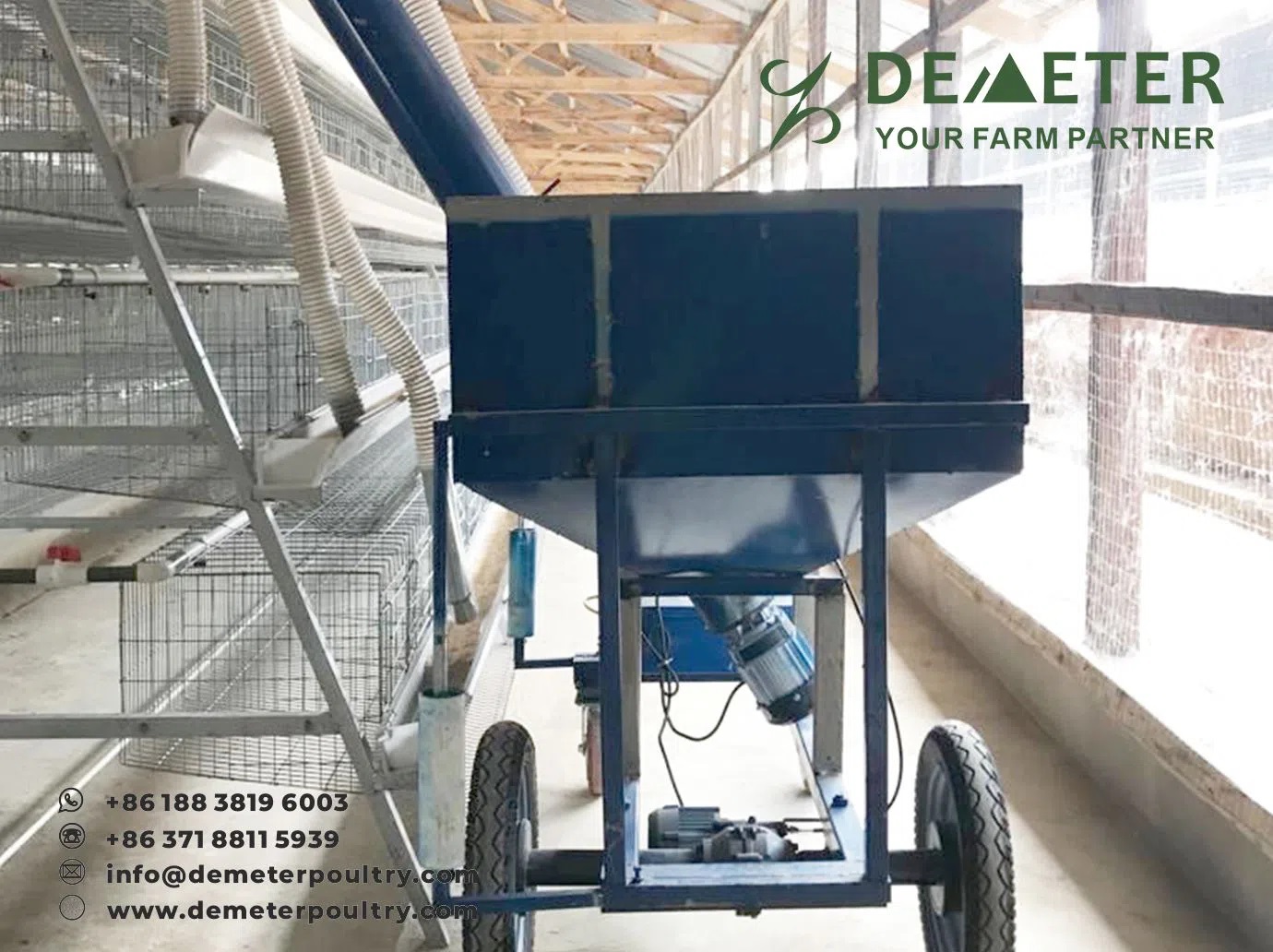 Layer chicken cage Accra 15,000pcs