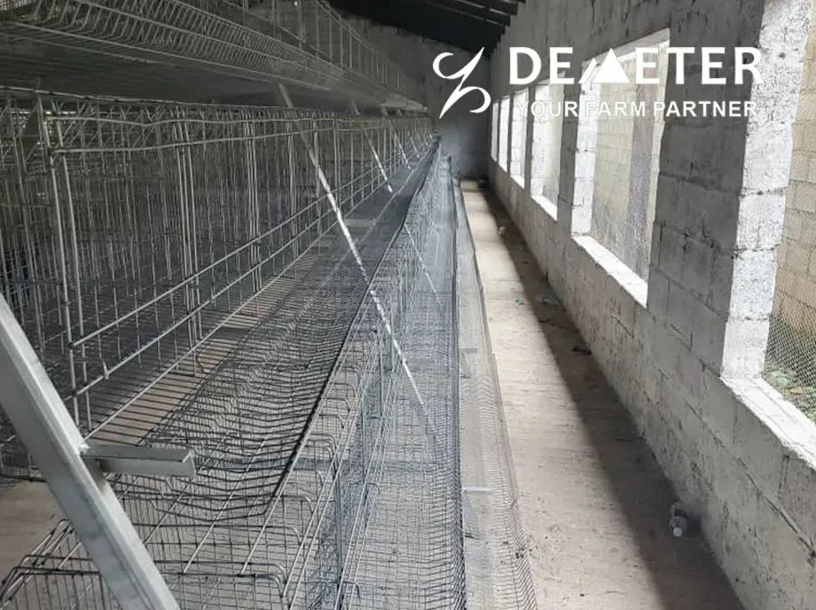 Layer Chicken Cage Zambia