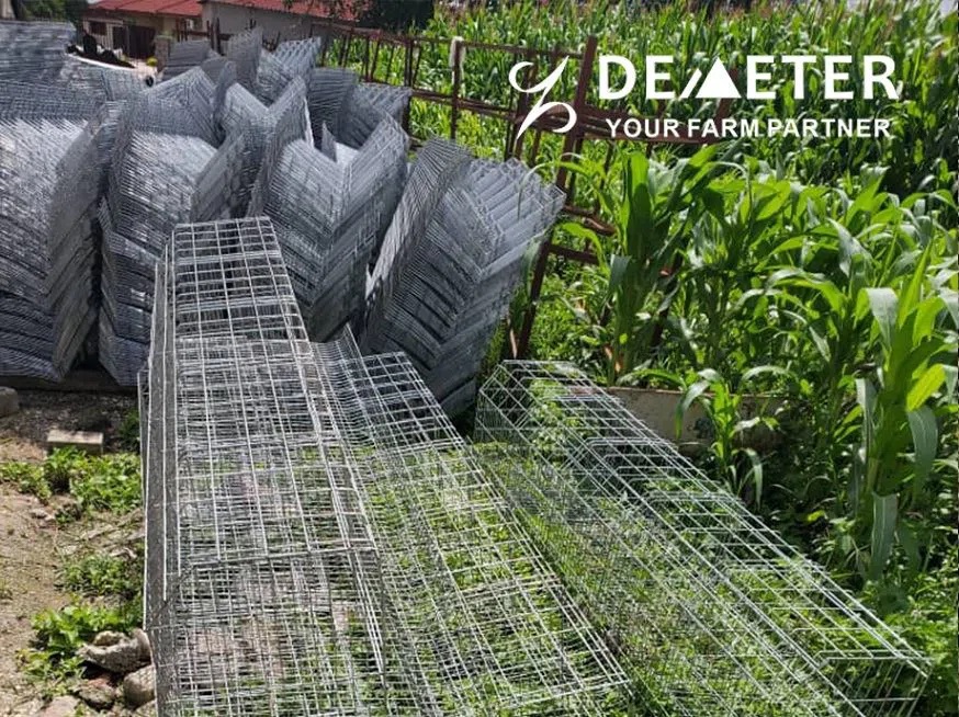 Layer Chicken Cage Zambia