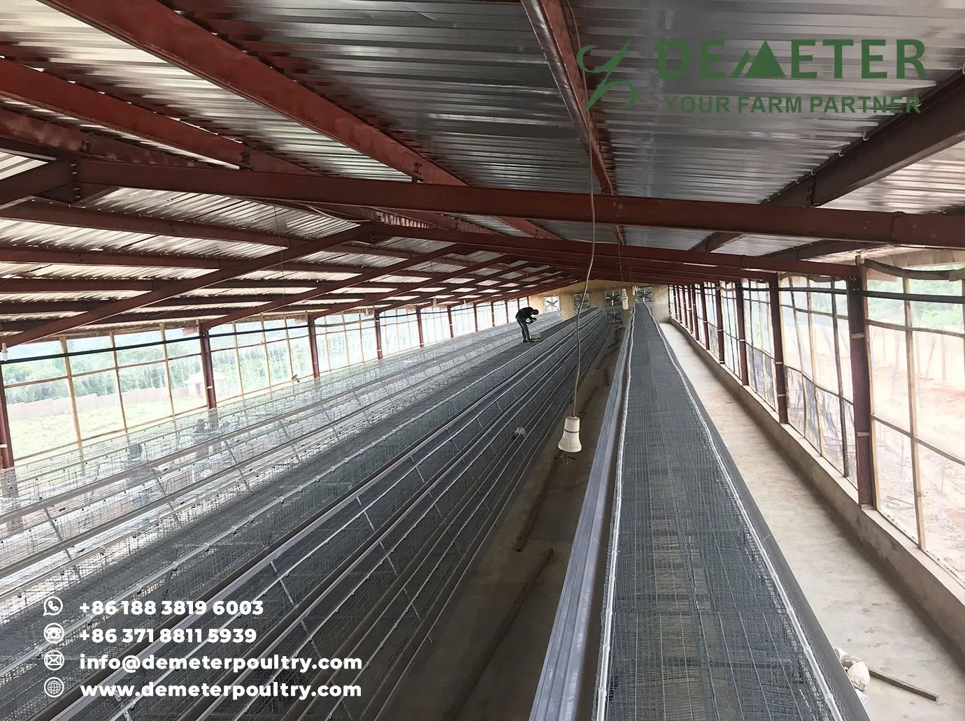 20,000PCS Layer Chicken Cage Project In Lagos Nigeria