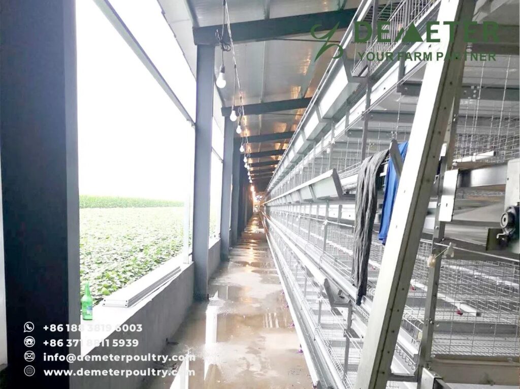 250,000PCS Broiler Chicken Cage Project In Anhui China
