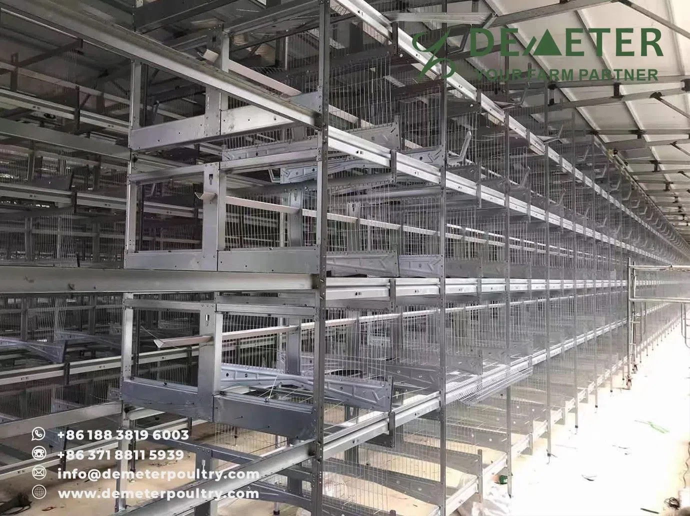 250,000PCS Broiler Chicken Cage Project In Anhui China