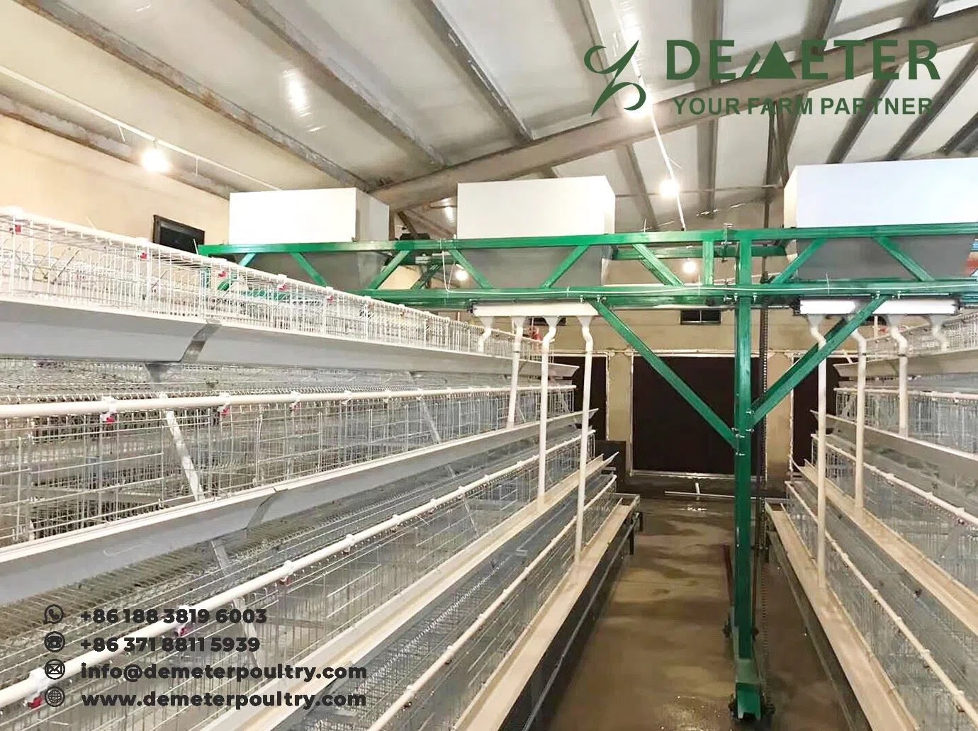 25,000pcs layer bird project in Tashkent Uzbekistan