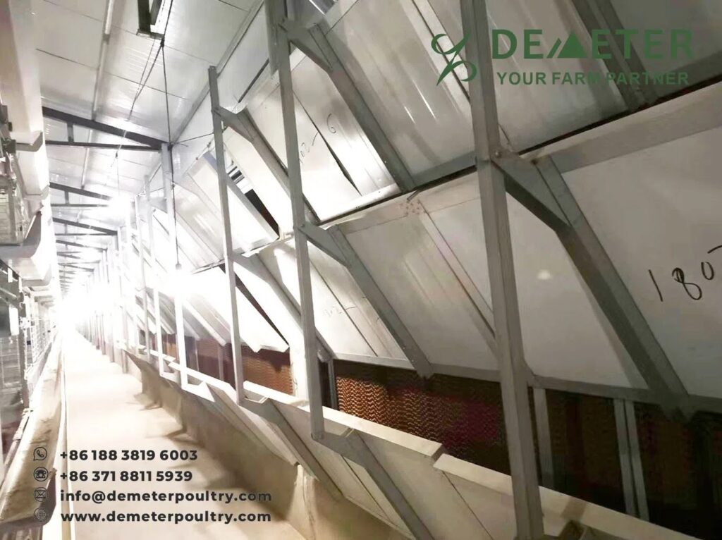 40,000PCS Broiler Chicken Cage Project In Hubei China