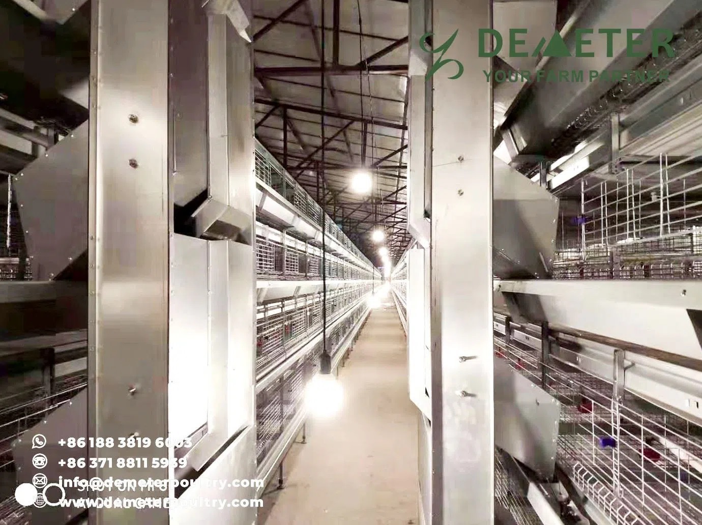 40,000PCS Broiler Chicken Cage Project In Hubei China