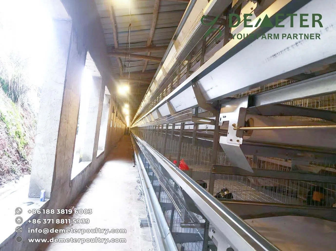 50,000PCS Layer Chicken Cage Project In Sichuan China