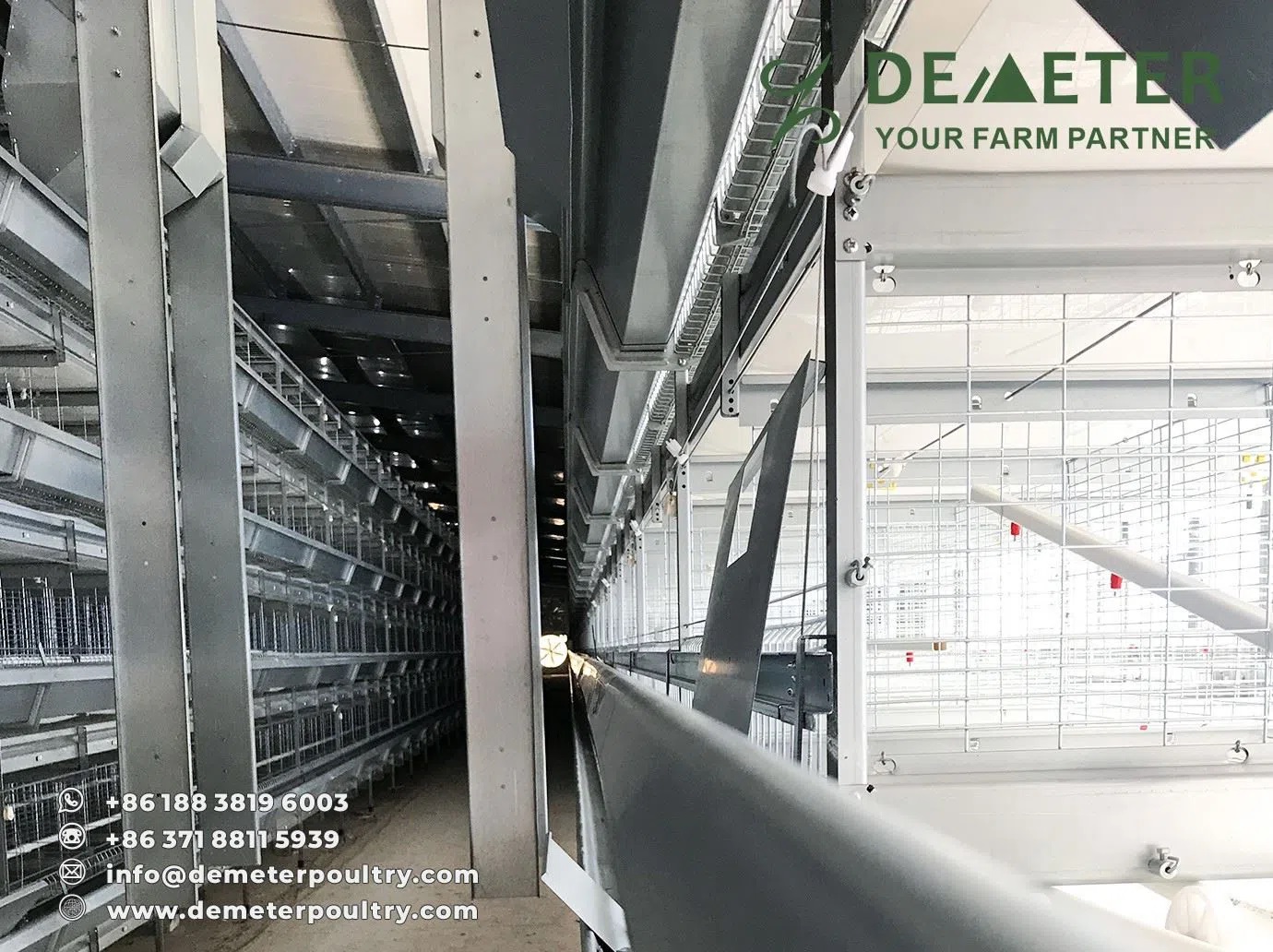 50,000PCS Pullet Chicken Cage Project In Hebei China