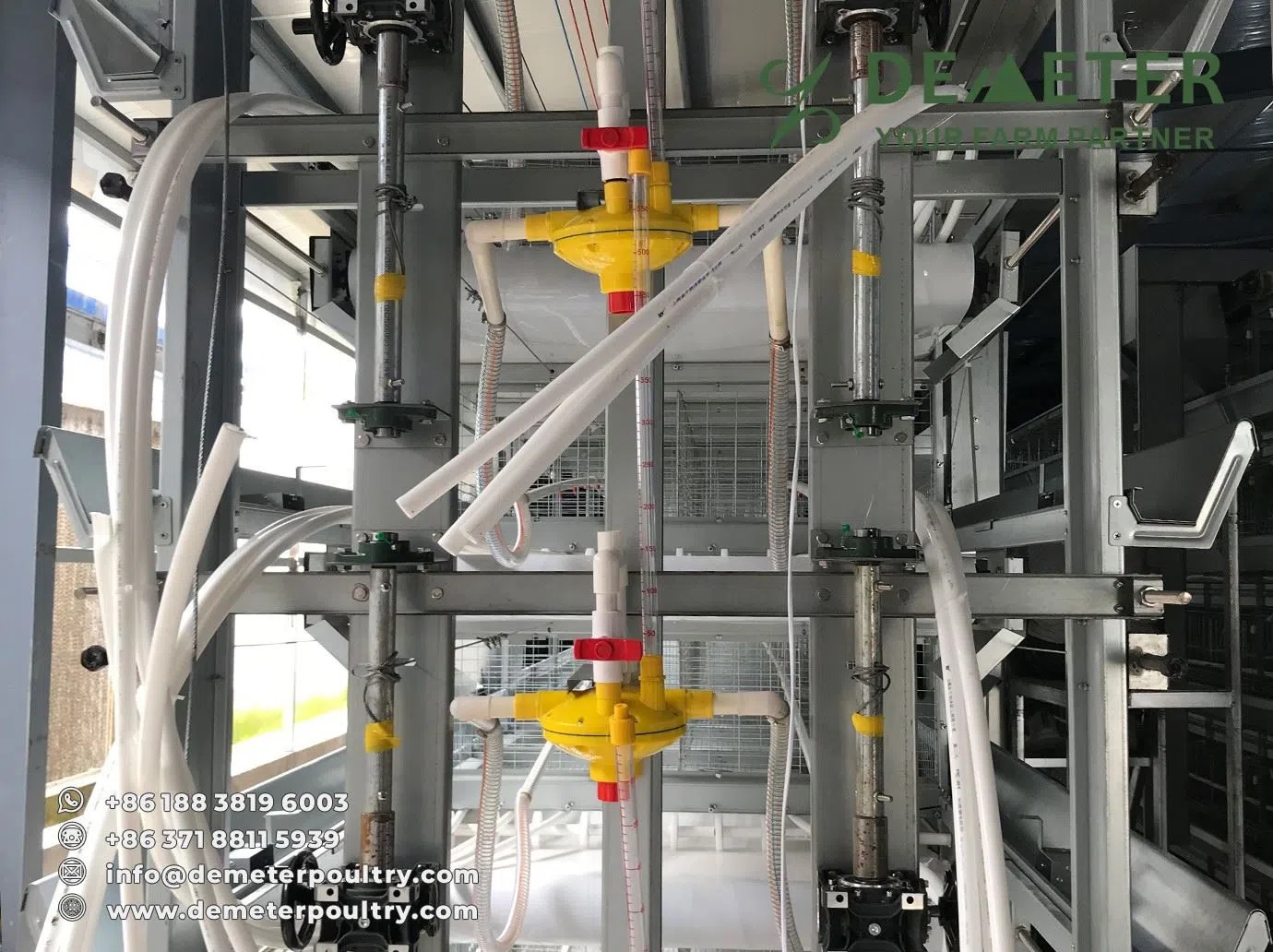 50,000PCS Pullet Chicken Cage Project In Hebei China