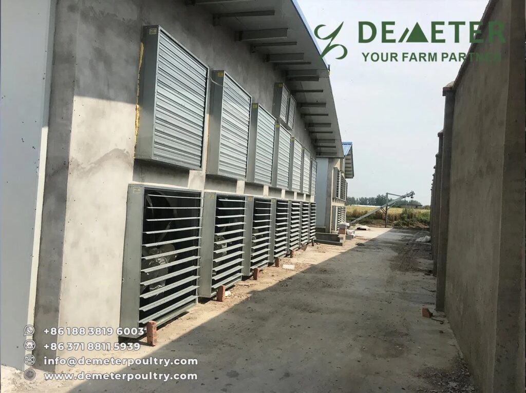 50,000PCS Pullet Chicken Cage Project In Hebei China