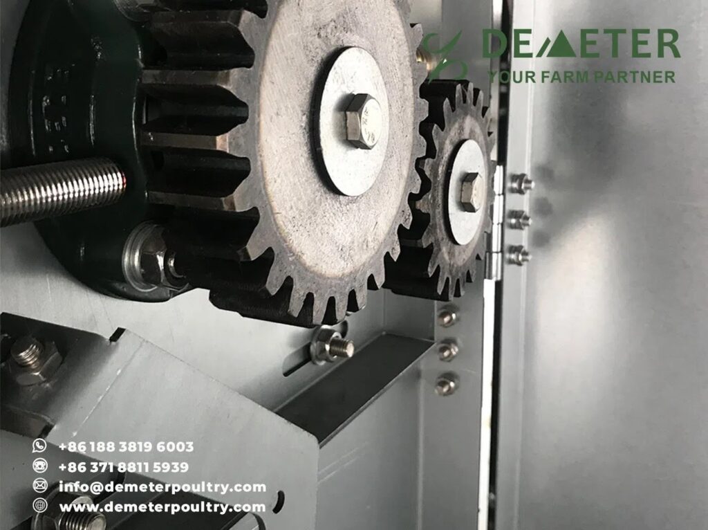 60,000PCS Layer Chicken Cage Project In Lahore Pakistan