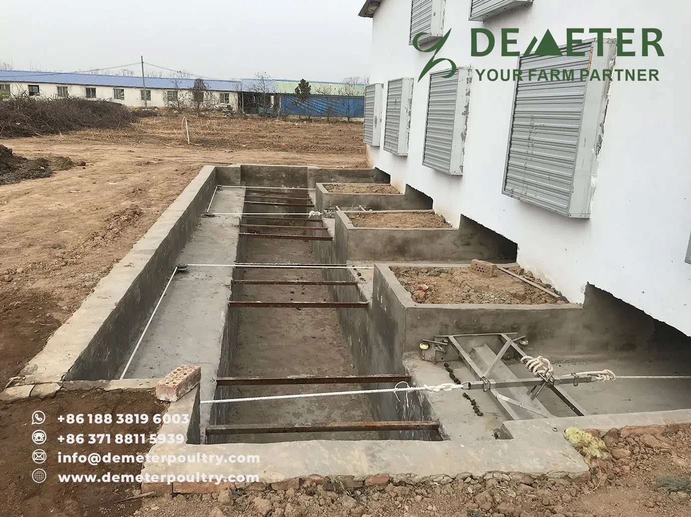 layer chicken cage china 12,000pcs