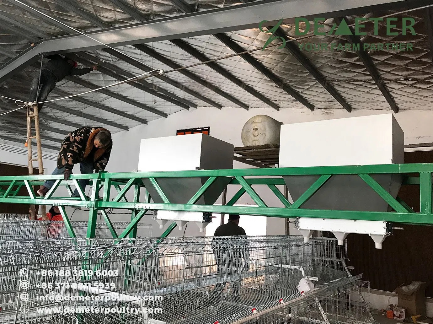 layer chicken cage china 12,000pcs