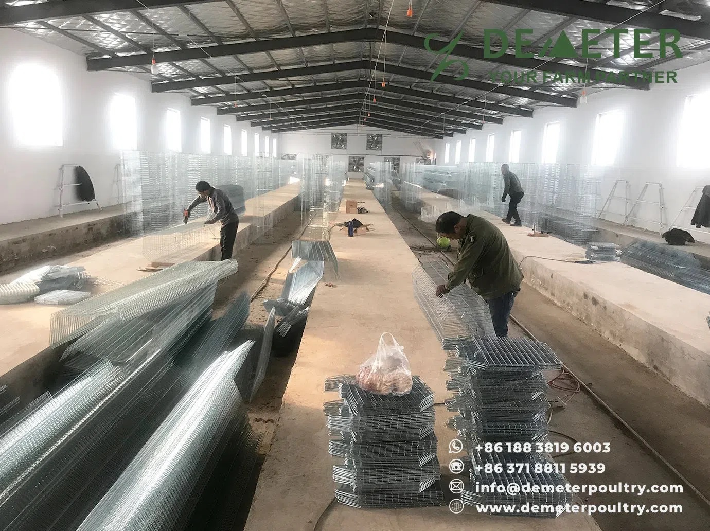 layer chicken cage china 12,000pcs