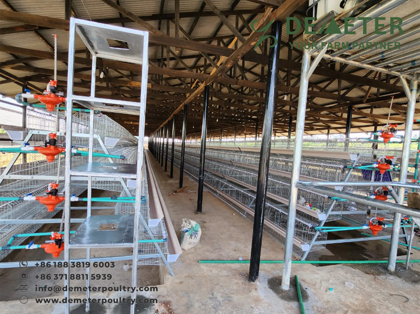 LAYER BATTERY CHICKEN CAGE IBADAN NIGERIA AFRICA 2