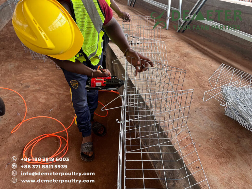 Chicken Cage Cameroon Poultry Cages Project A-Type 4-Tier Layer Battery Cage System for Cameroon Africa from China Factory