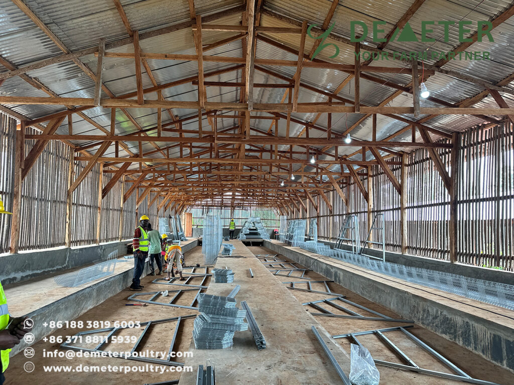 Chicken Cage Cameroon Poultry Cages Project A-Type 4-Tier Layer Battery Cage System for Cameroon Africa from China Factory