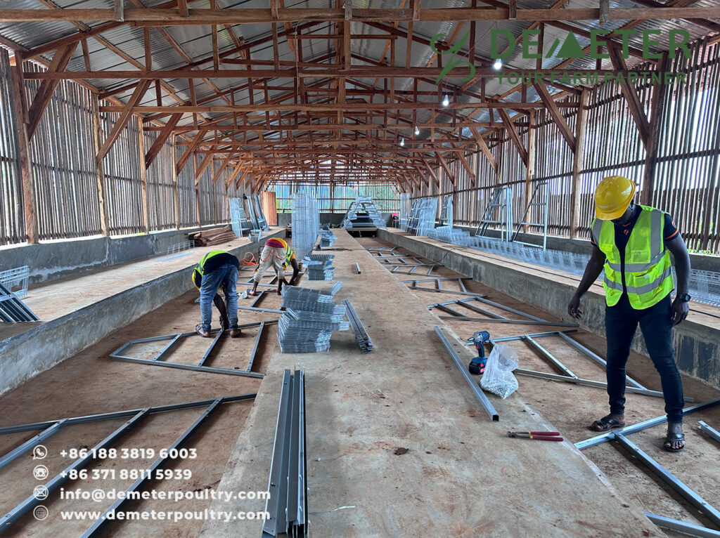 Chicken Cage Cameroon Poultry Cages Project A-Type 4-Tier Layer Battery Cage System for Cameroon Africa from China Factory