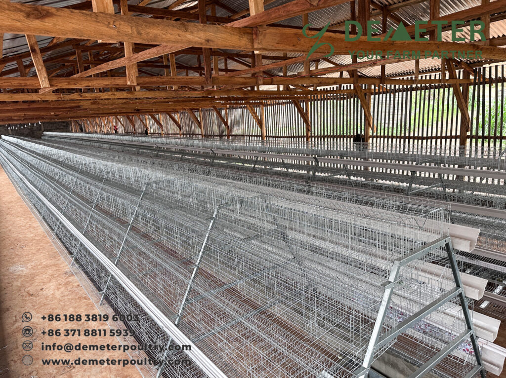 chicken cage, layer chicken cage, demeter africa chicken cage supplier, battery cage system, layer cage for sale in Africa