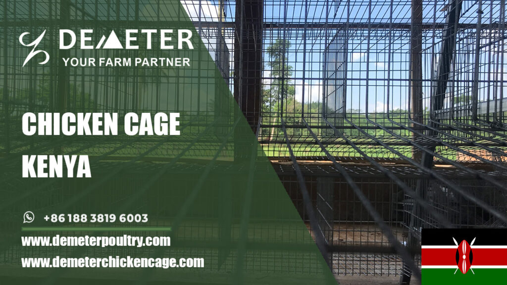 layer chicken battery cages for sale in Nairobi Kenya