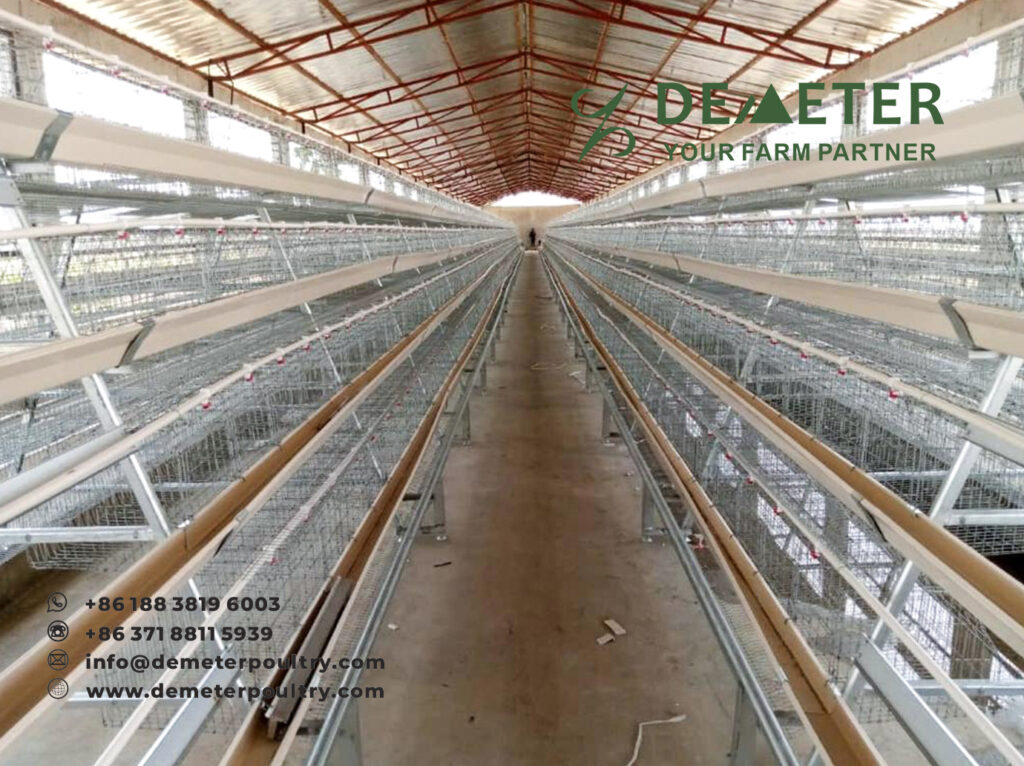 Chicken Cage Nigeria Poultry Farm Cages Automated Layer Chicken Cage for Sale in Nigeria