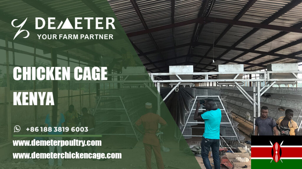layer chicken battery cages for sale in Nairobi Kenya
